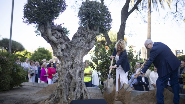 el olivo acto